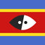 Eswatini eSIM