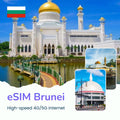 eSIM Brunei